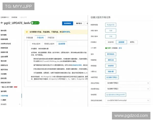 巅峰国际PG平台官网下载最新版本，提供完整的下载安装教程与常见问题解答