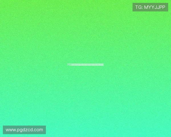 PG娱乐集团会员注册流程简化，用户注册体验显著改善